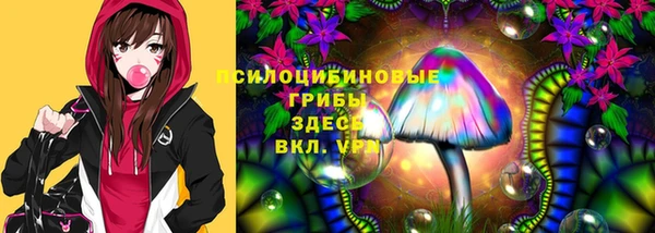 синтетический гашиш Богданович