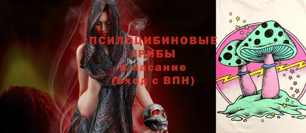 хмурый Богородск