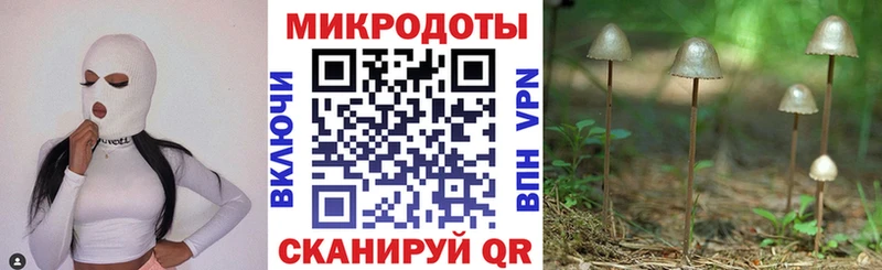 цены   Севастополь  Псилоцибиновые грибы MAGIC MUSHROOMS 